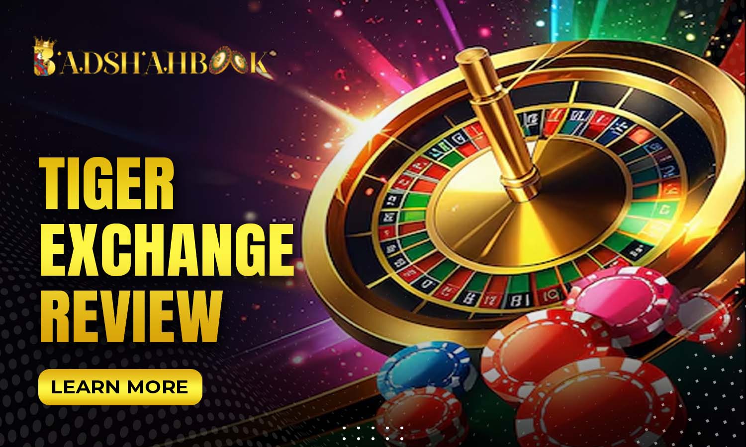 Read more about the article Tiger Exchange Review